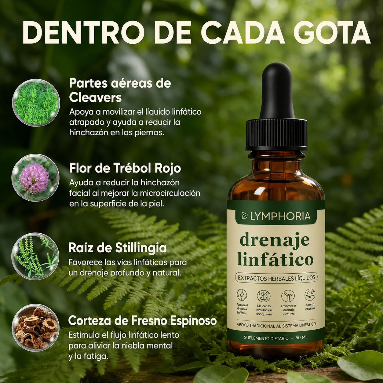 Drenador Linfático
