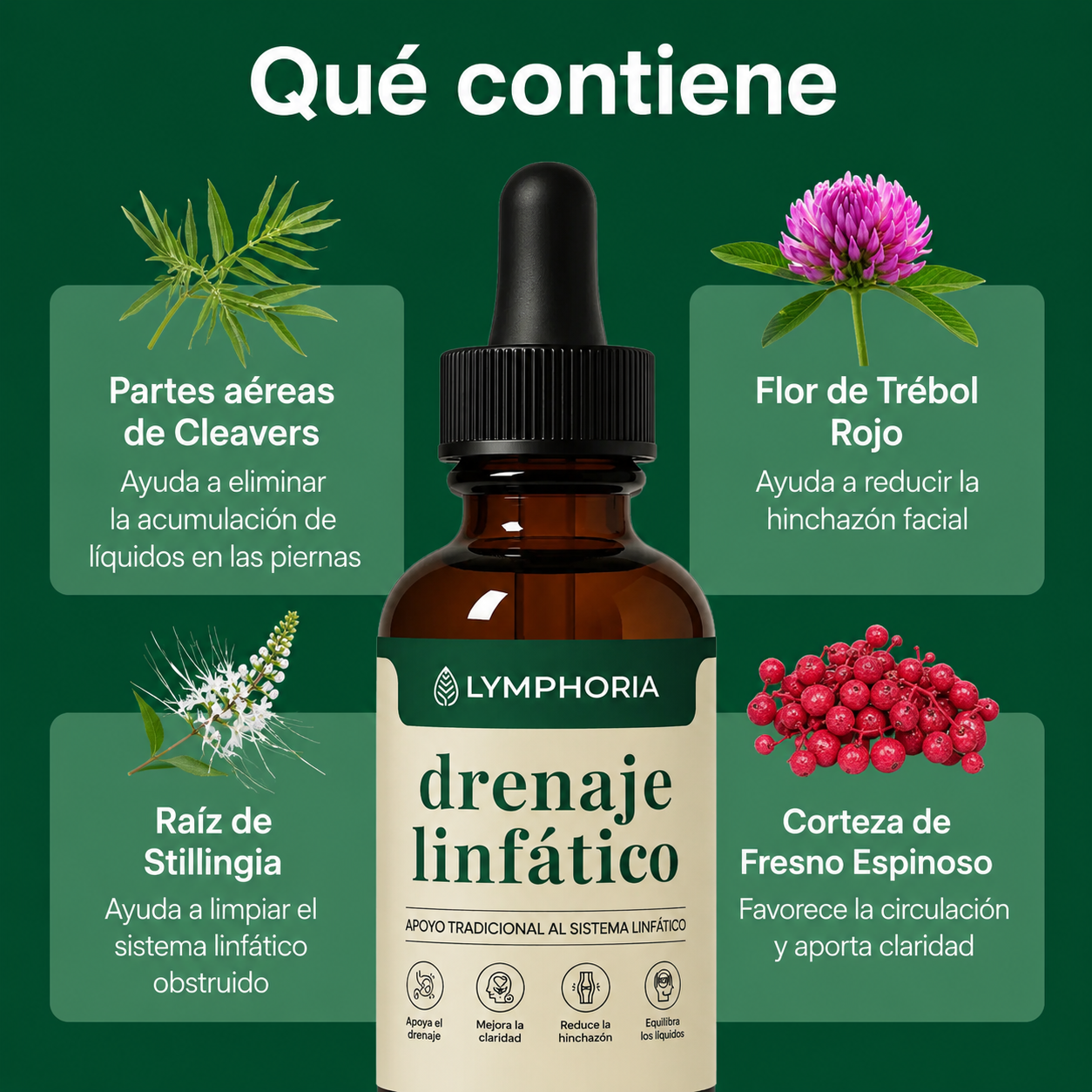 Drenador Linfático