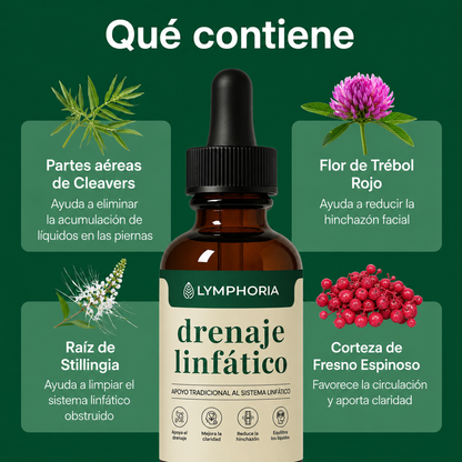 Drenador Linfático
